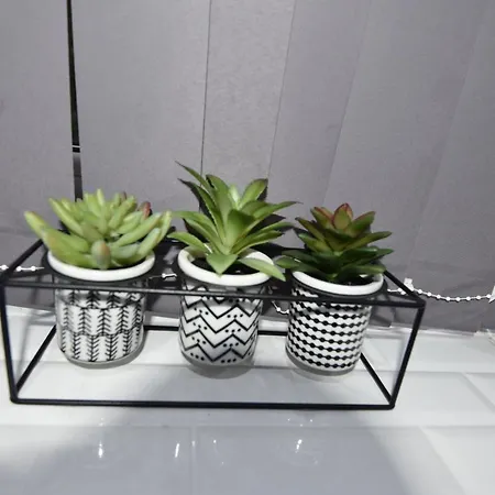 Cozy! 2-bedroom Exclusive Near City Centre Easton Speedwell Sleeps Upto 6 Апартаменти Бристоль