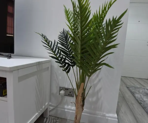 公寓 Cozy! 2-bedroom Exclusive Near City Centre Easton Speedwell Sleeps Upto 6