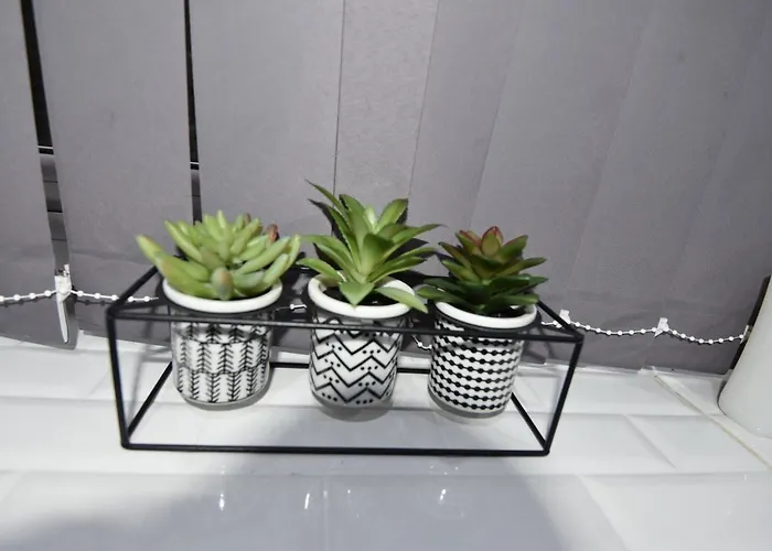 Cozy! 2-bedroom Exclusive Near City Centre Easton Speedwell Sleeps Upto 6 公寓 布里斯托